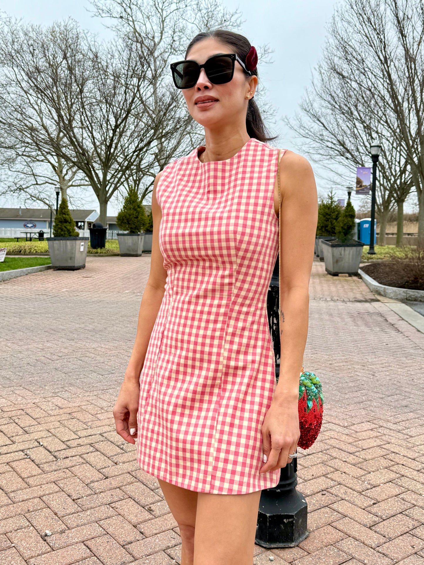 Bridgette  Pink Gingham  Mini Dress