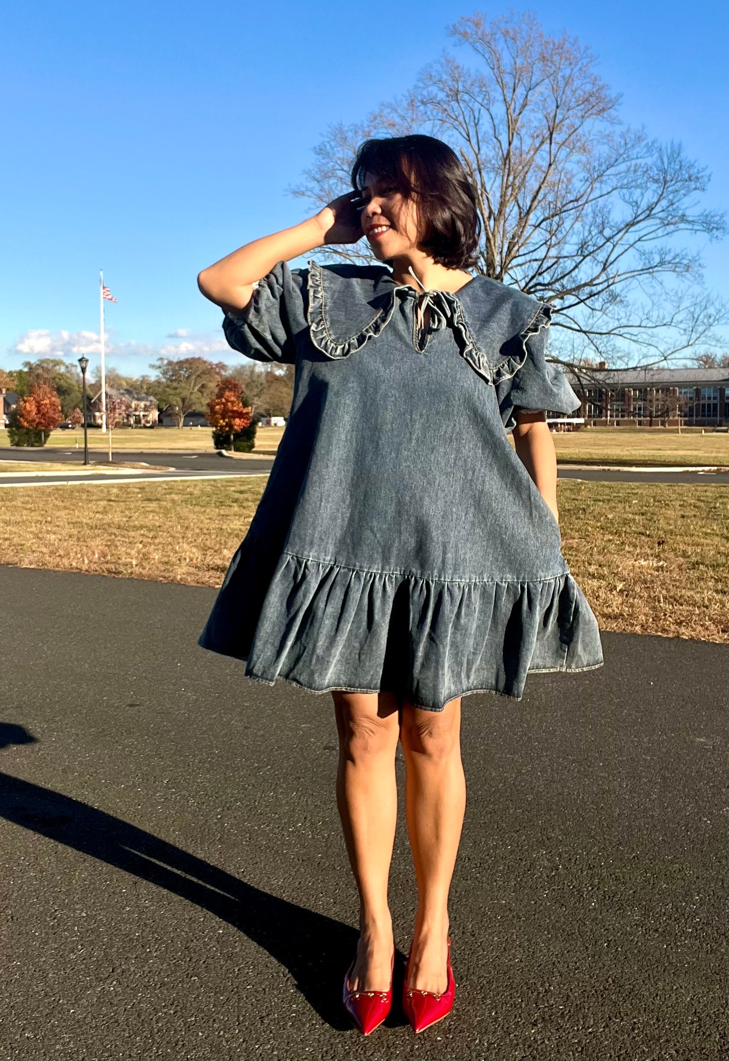 Arie Preppy Denim Dress