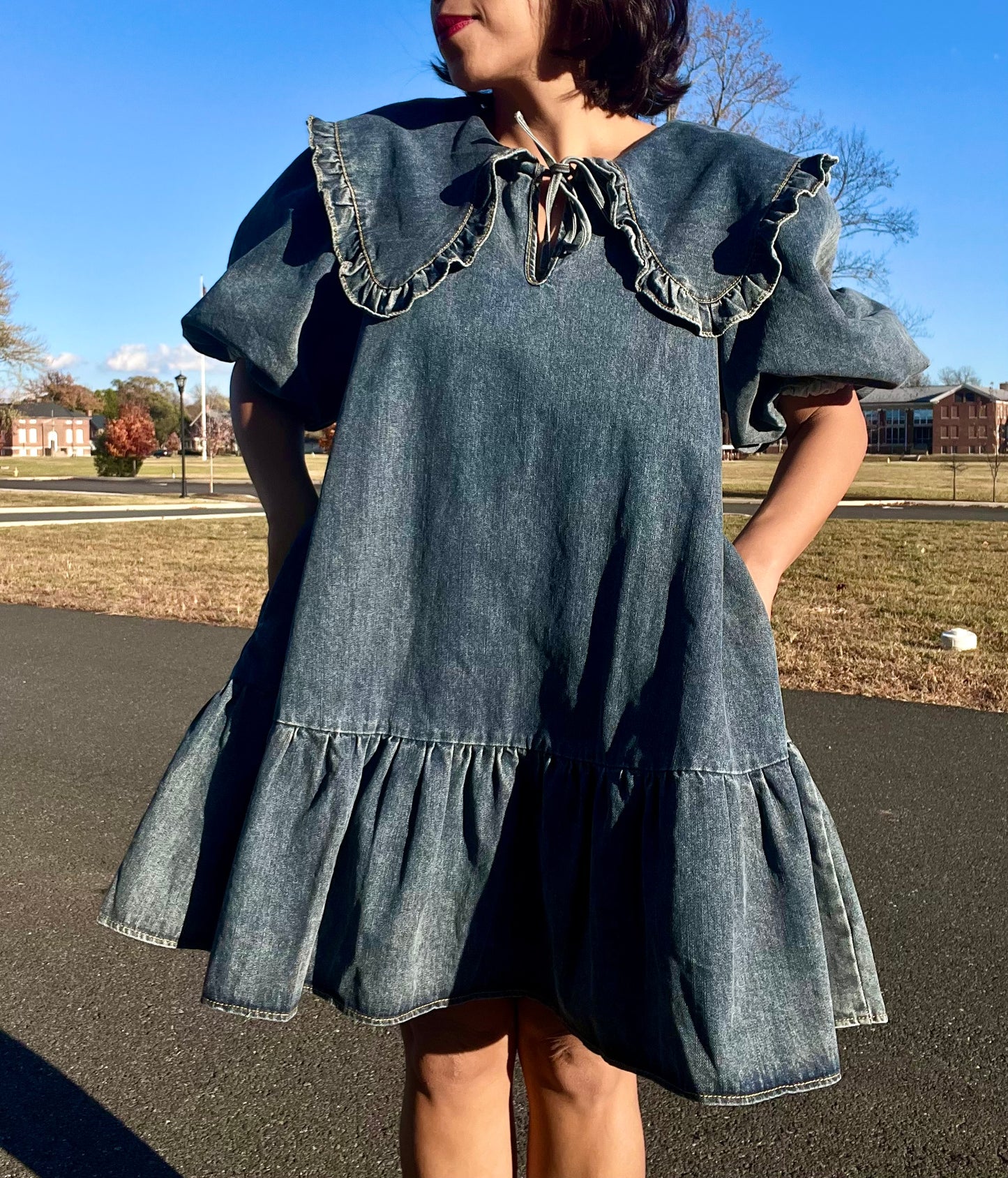 Arie Preppy Denim Dress